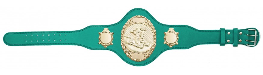 MMA CHAMPIONSHIP BELT-PLT286/G/MMAG-4 COLOURS MMA CHAMPIONSHIP BELT-PLT286/G/MMAG-4 COLOURS